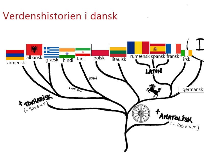 Grafik for Forskningens Døgn