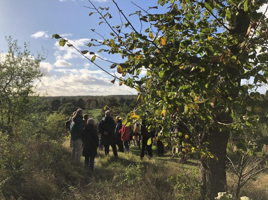 Fotografi af gåtur i Åmosen